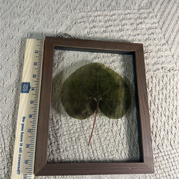 Pressed Leaf Glass Hanging Frames – Set of 2 – Rustic Brown Wood - Picture 3 of 5